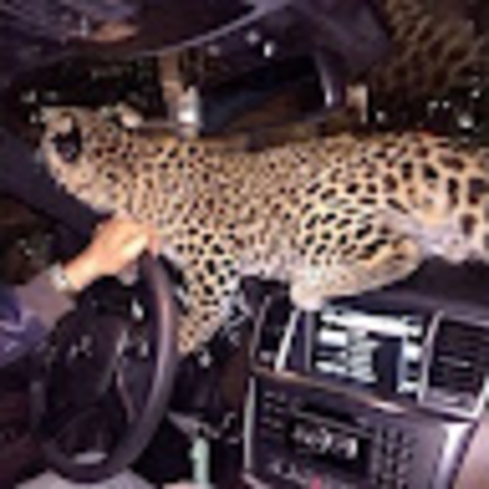 Meet your Posher, Yamilet